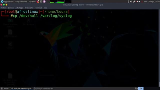 Comment purger un fichier avec /dev/null sous Linux ? смотреть онлайн