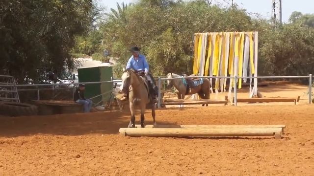 Australian Extreme Cowgirls Virtual Show Round3 - Non Pro - Guy Ginat Humi & Rascal смотреть онлайн