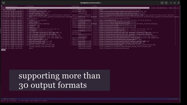 Watson- Extract forensic information from Linux desktop environment search sw|S.Hoppen,Ch.Blumentha смотреть онлайн