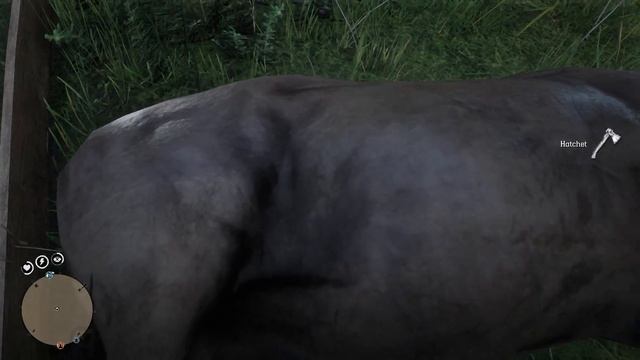 Red Dead Redemption 2 PC - Multiplayer - 2020-12-18 21:44 Gameplay Hunting Session смотреть онлайн