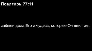 День 159. Библия за год. С митрополитом Иларионом.