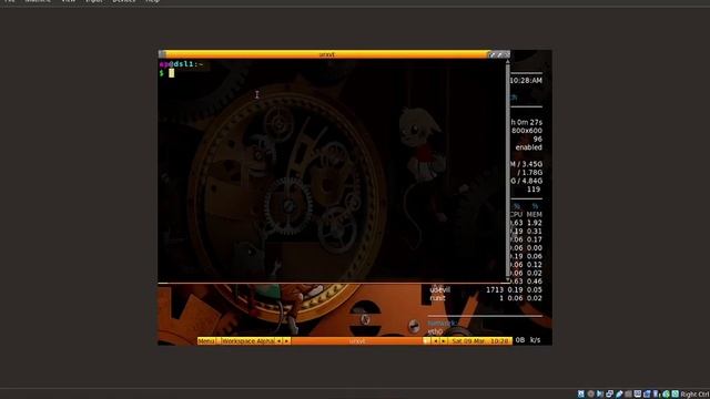 Destroying Damn Small Linux смотреть онлайн