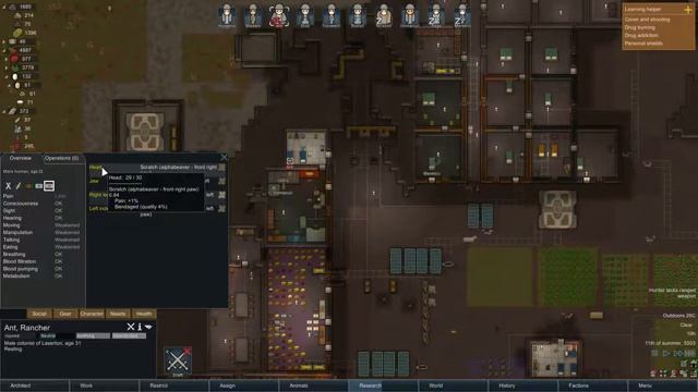Let's Play - Rimworld [Episode 51] смотреть онлайн