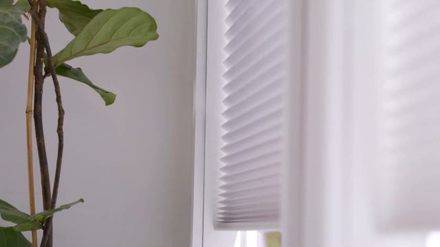 Simplicity Motorized Shades with Quietude - SmartHome смотреть онлайн