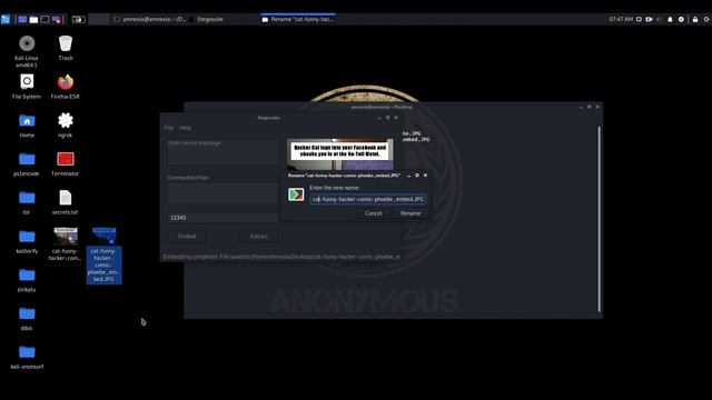 Steganography смотреть онлайн