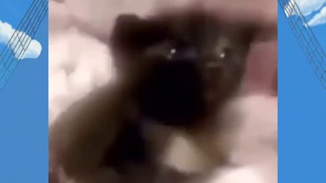 Car Seat Headrest - Jerks (Nightcore) смотреть онлайн