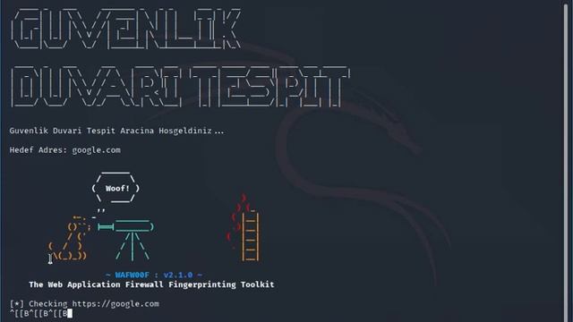 write site firewall control with kali linux software(kali yazılımı ile web güvenlik duvarı kontrolü смотреть онлайн