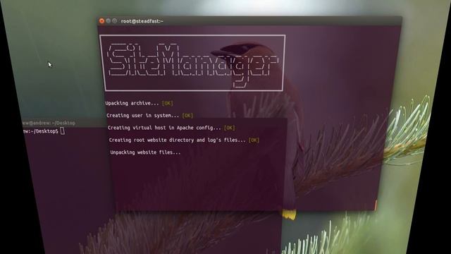 SiteManager For Backup And Transfer Websites