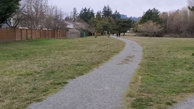 Frank's Messy Tesla Visits Colwood Creek Park 19 Mar 23 смотреть онлайн