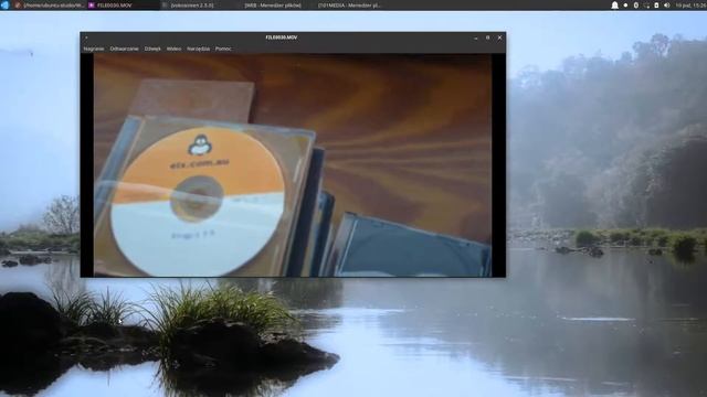 20201010 Knoppix z Everything Linux смотреть онлайн