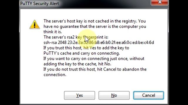 Server Setup 2 смотреть онлайн