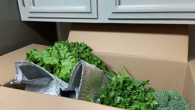 Vlogmas 2020 Bonus 2 смотреть онлайн