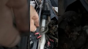 Глохла на ходу