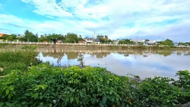 Bà Nguyễn Phương Hằng có lợi thế cực lớn ở khoản này | Gấc Việt смотреть онлайн