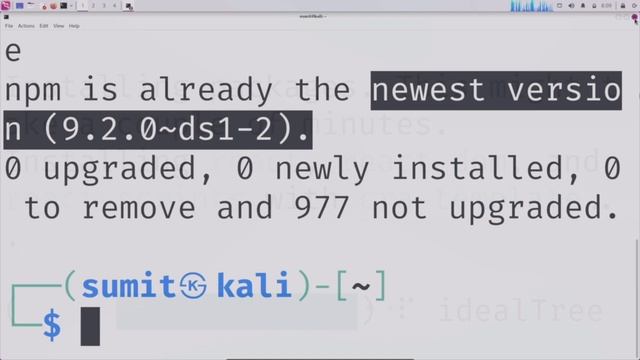 Unleash The Power: Installing React.js In Kali Linux Purple! смотреть онлайн