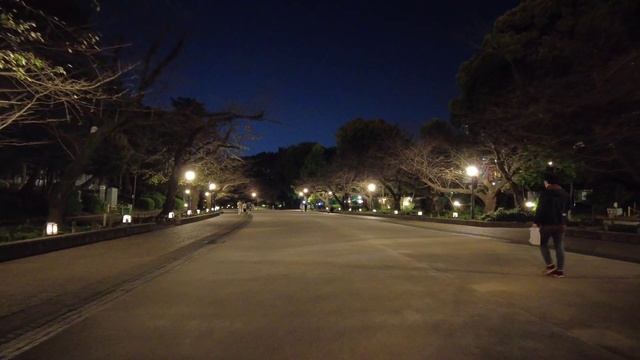 Ueno Park Night Walk 上野公園 (dji pocket 2) смотреть онлайн