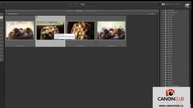 Jak snadno otevřít náhledy RAWů ve Windows (bez Lightroomu, Zoneru, Photoshopu...) смотреть онлайн