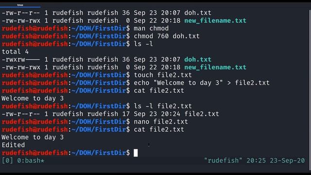 Learn Linux with Peers - Day 3 смотреть онлайн