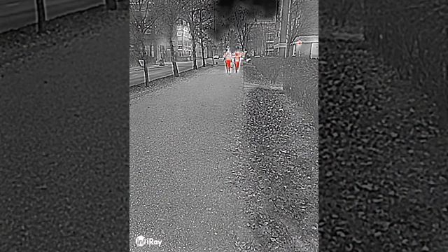 Doogee S98 Pro Thermal Camera Test