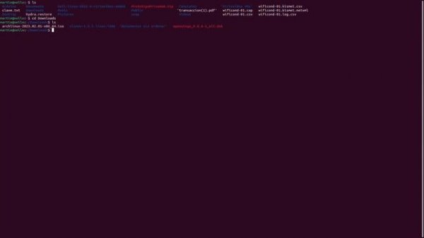 How to download and  install  Openstego on Linux distributions. (Kali, Ubuntu, Etc.)