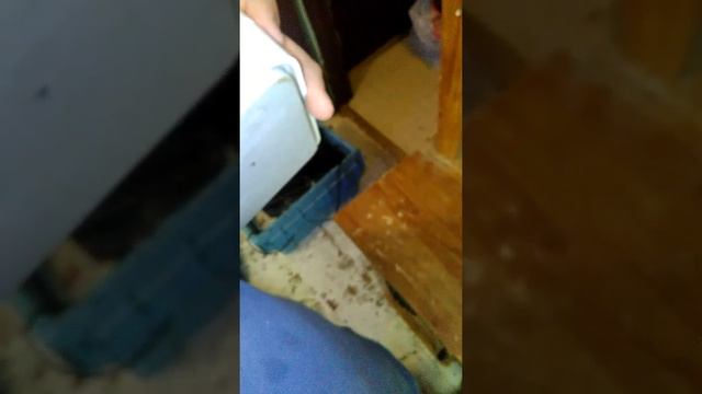 Apple airport extreme смотреть онлайн