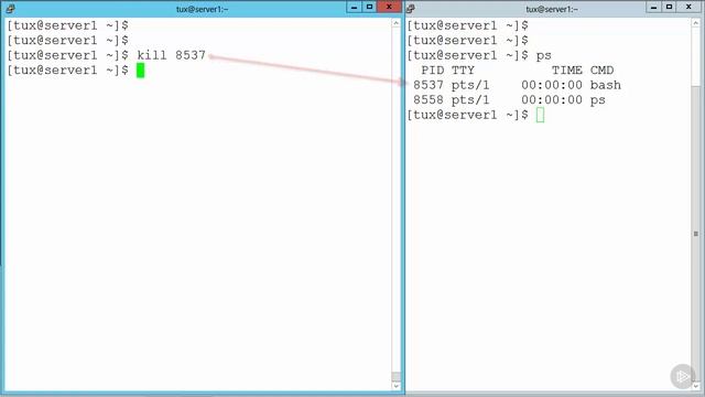21 Send Signals with kill смотреть онлайн