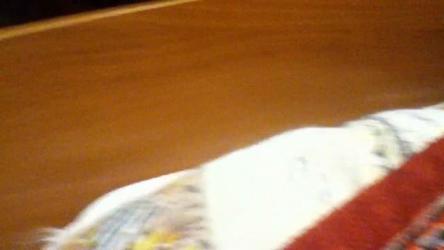 Test HD iPod 4G (Витя Малышкин в действии) смотреть онлайн