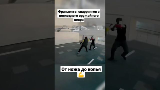 Оружейные ковры в Потоке. Фрагменты спаррингов. Нож, меч, копьё. #shorts