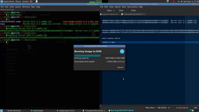 Verifying ISO Integrity w/sha256 Then Burning DVD Image on Parrot Linux смотреть онлайн