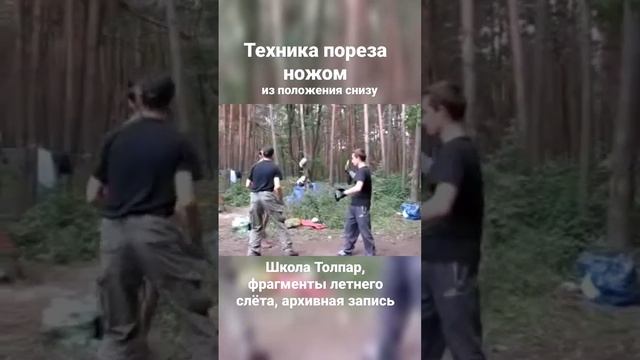Техника пореза с опущенных рук. Толпар, архивная запись. #shorts
