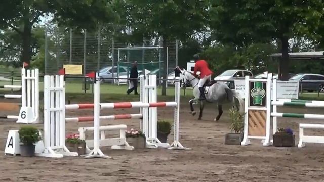 Timpex Cent (Cento) x Kolibri смотреть онлайн