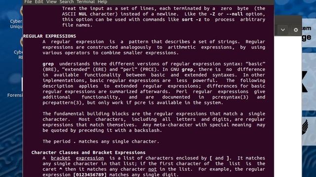 Using the Terminal Window 2016 смотреть онлайн