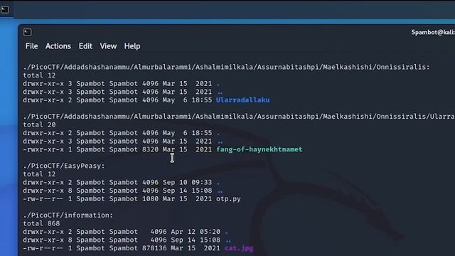 Using Kali "ls -laR" command #kali #linux #cybersecurity смотреть онлайн