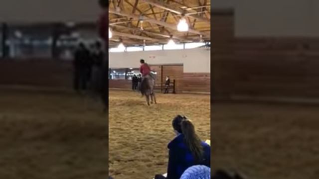 George Morris riding Elano G (Elvis) смотреть онлайн