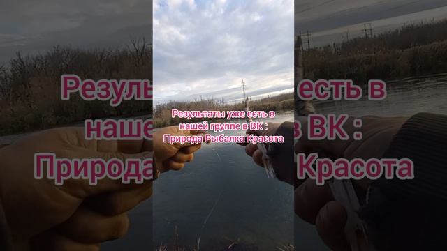 Закинуты закидушки еа налима . Уже результаты есть . Наша группа в Вк : Природа Рыбалка Красота #при смотреть онлайн
