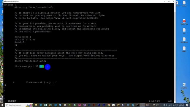 Linux DNS Server смотреть онлайн