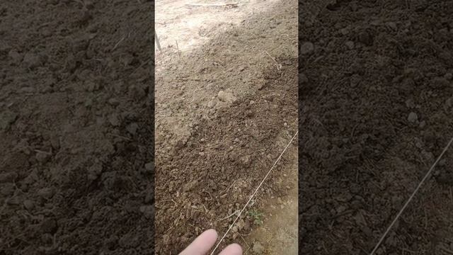 аударудың пайдасы көп смотреть онлайн