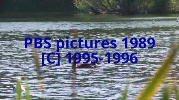 PBS logo 1989 fake 1947-2003