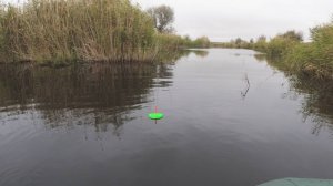 РЫБАЛКА НА КРУЖКИ НА ДИКОЙ РЕКЕ ЩУКА И ОКУНЬ