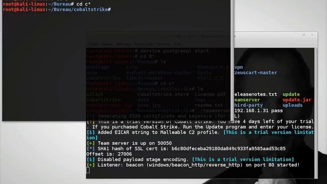 Install cobaltstrike3 on kali sana смотреть онлайн