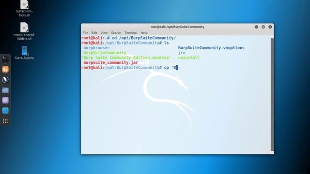 Burp Suite 2: Create Shortcut on Desktop (Linux) смотреть онлайн