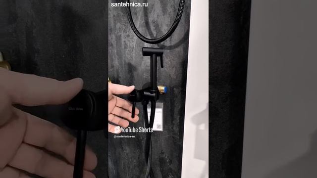 Гигиенический душ Allen Brau Priority 5.31029-31 со смесителем, черный матовый смотреть онлайн