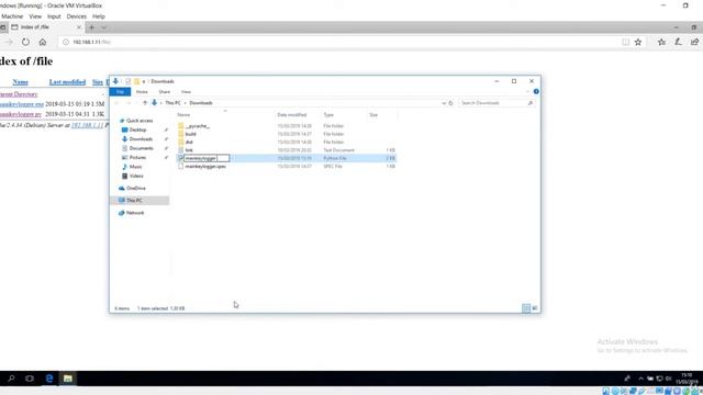 Deliver Keylogger and Observe Keylogs| Creating Malware with Python | HackVenom смотреть онлайн