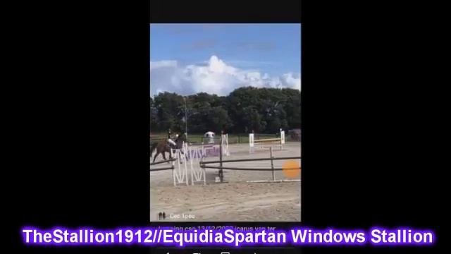Horse Jumping Windows Vienna veg смотреть онлайн