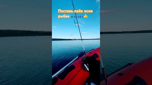 #рыбалка2023 #NE_PAL#судак #щука#тренировка