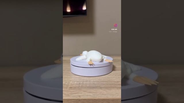 articulated goose #3dprinting #3дпечать #3дпринтер #3dprint #timelapse #bambulab #kingroon смотреть онлайн