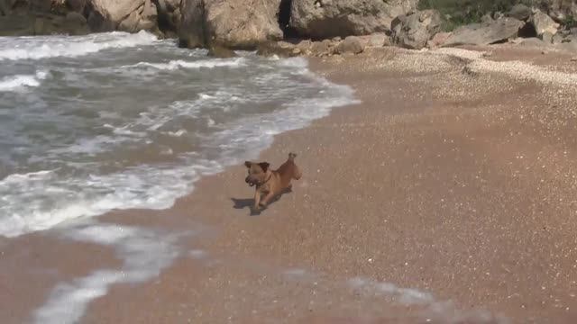 Рой. Генералы 26. 06. 2016 г. смотреть онлайн