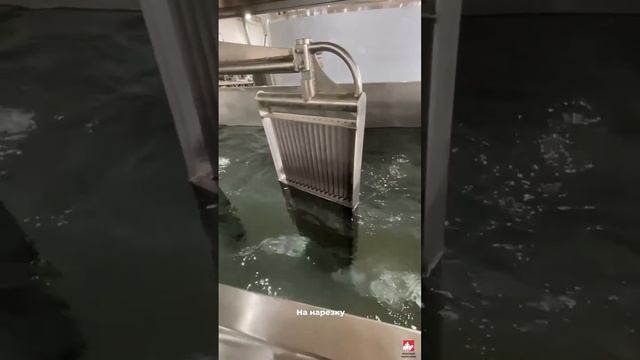 Сыроизготовитель 2500 литров. Тестирование на производстве перед отгрузкой.