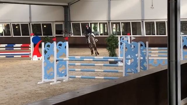 SOLD. Emilion x Cento, gelding, 2013 смотреть онлайн