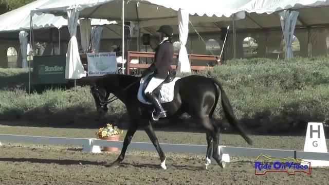 124D Victoria Klein On Lazydaysnmiracleways Training 3-Day Dressage Galway Downs Int'l Nov. 2015